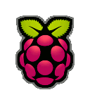logo raspberry pi